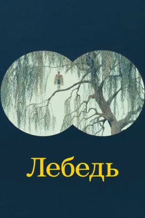 Лебедь — постер