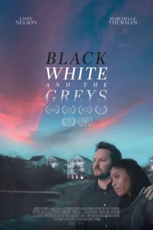 Black White and the Greys — постер