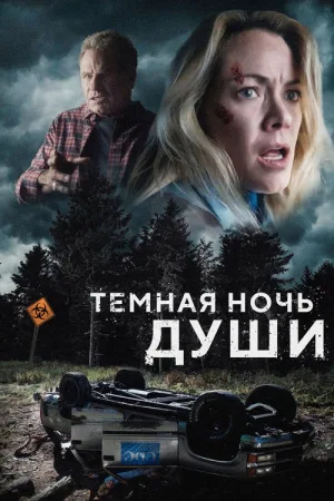 Темная ночь души — постер