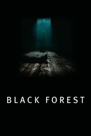 Black Forest — постер