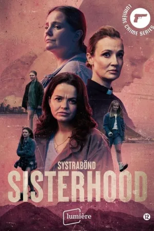 Systrabönd — постер