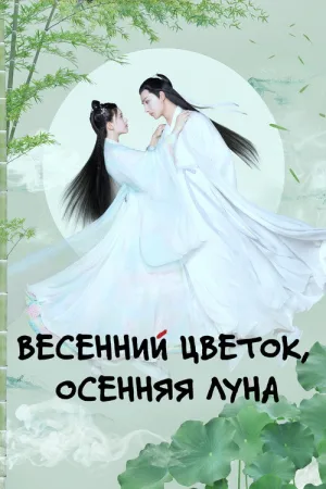 Весенний цветок, осенняя луна — постер