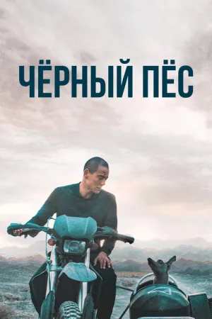 Чёрный пёс — постер