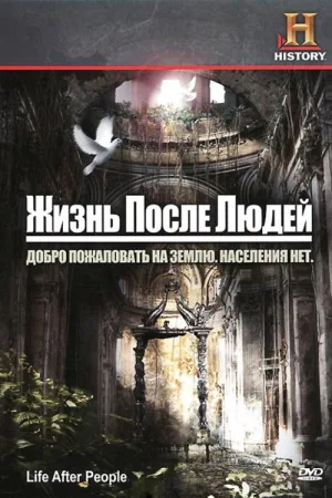Жизнь после людей — постер