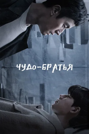 Чудо-братья — постер