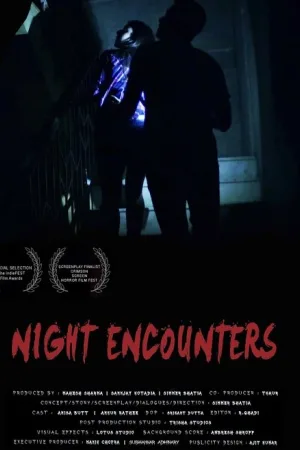 Night Encounters — постер