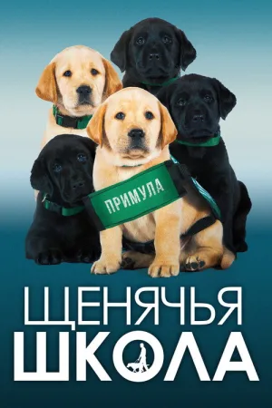Щенячья школа — постер