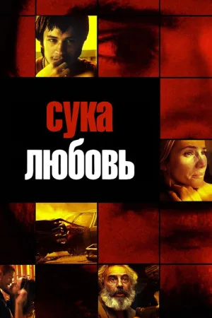 Сука-любовь — постер
