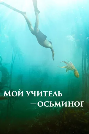 Мой учитель – осьминог — постер