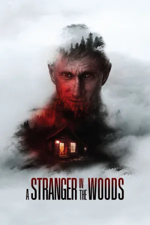A Stranger in the Woods — постер