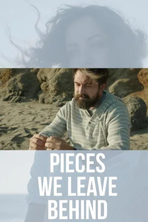 Pieces We Leave Behind — постер