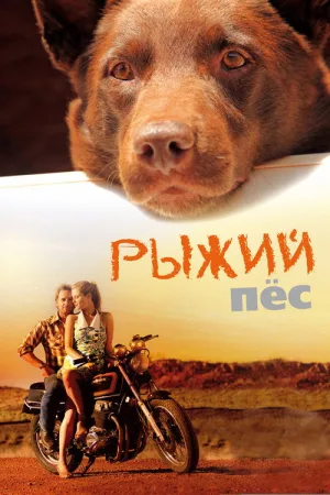 Рыжий пёс — постер