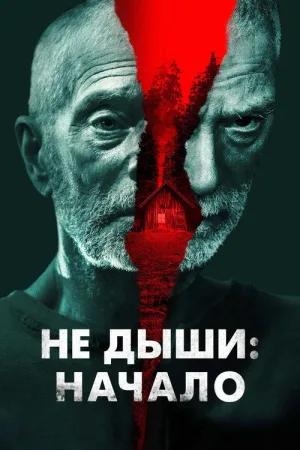 Не дыши: Начало — постер