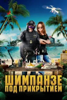 Шимпанзе под прикрытием — постер