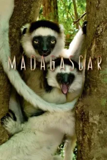 Мадагаскар — постер