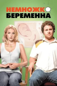 Немножко беременна — постер