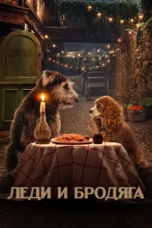 Леди и Бродяга — постер