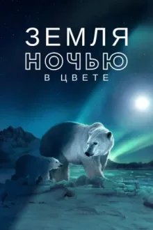Земля ночью в цвете — постер