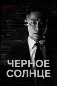 Чёрное солнце — постер