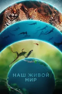 Наш живой мир — постер