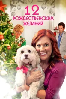 12 Рождественских желаний — постер