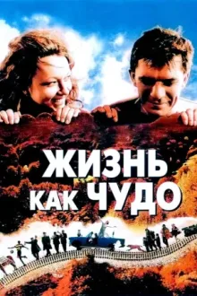 Жизнь как чудо — постер