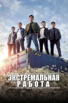 Экстремальная работа — постер