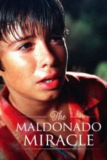 The Maldonado Miracle — постер