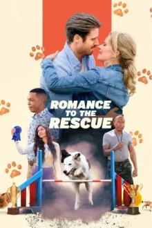 Romance to the Rescue — постер