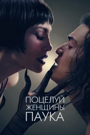 Поцелуй женщины-паука — постер