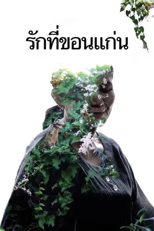 Кладбище блеска — постер