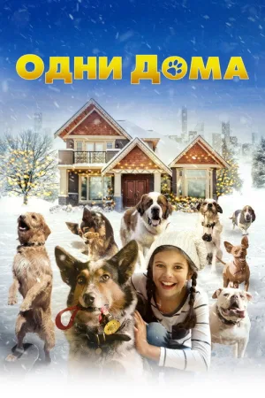 Одни дома — постер