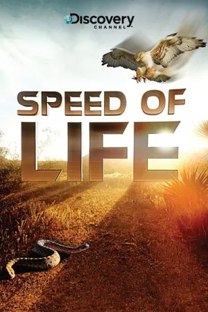Speed of Life — постер