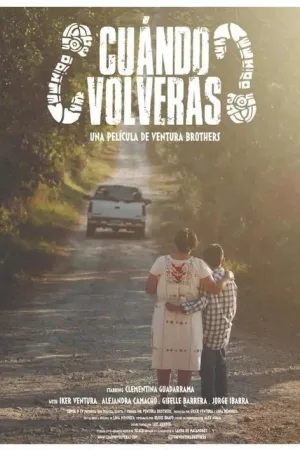 ¿Cuándo Volverás? — постер