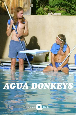 Agua Donkeys — постер