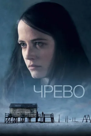 Чрево — постер