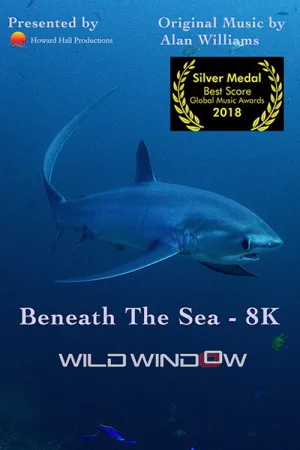 Wild Window: Beneath the Sea — постер