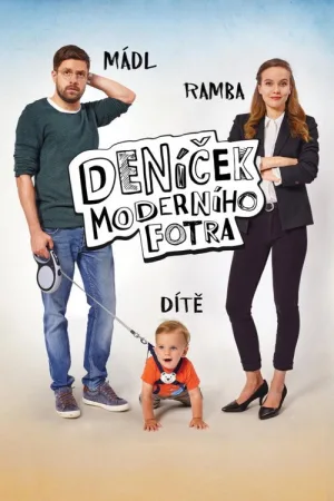 Deníček moderního fotra — постер