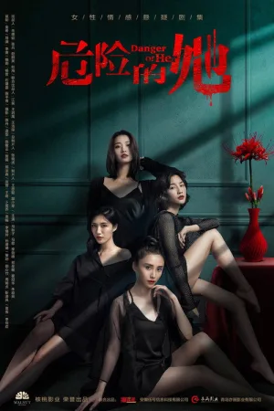 危险的她 — постер