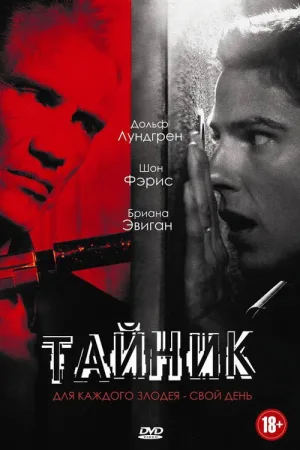 Тайник — постер