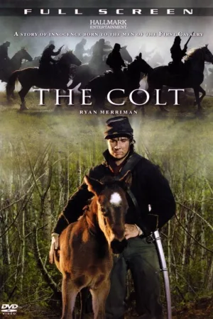 The Colt — постер