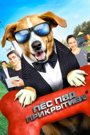Пёс под прикрытием — постер