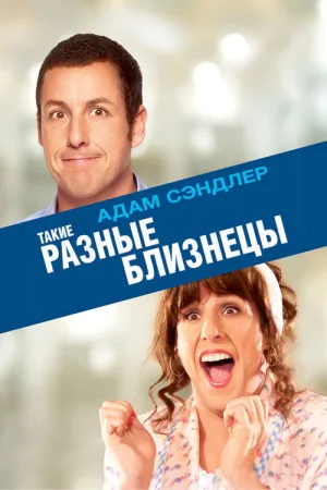 Такие разные близнецы — постер