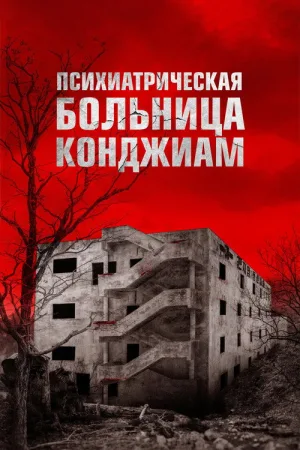 Психиатрическая больница Конджиам — постер