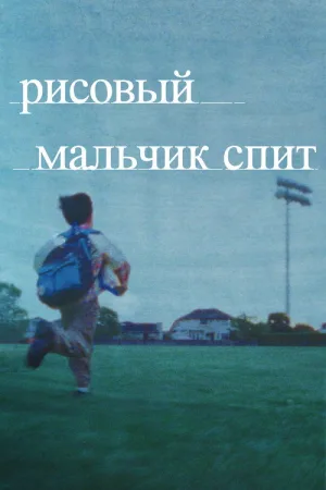 Рисовый мальчик спит — постер