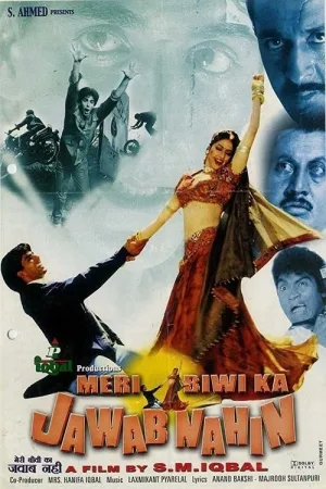 मेरी बीवी का जवाब नहीं — постер