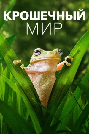 Крошечный мир — постер
