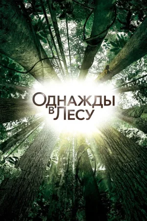 Однажды в лесу — постер