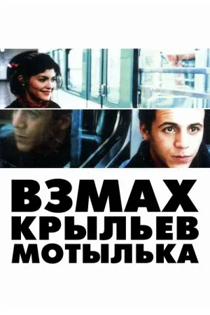 Взмах крыльев мотылька — постер