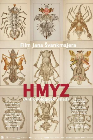 Hmyz — постер